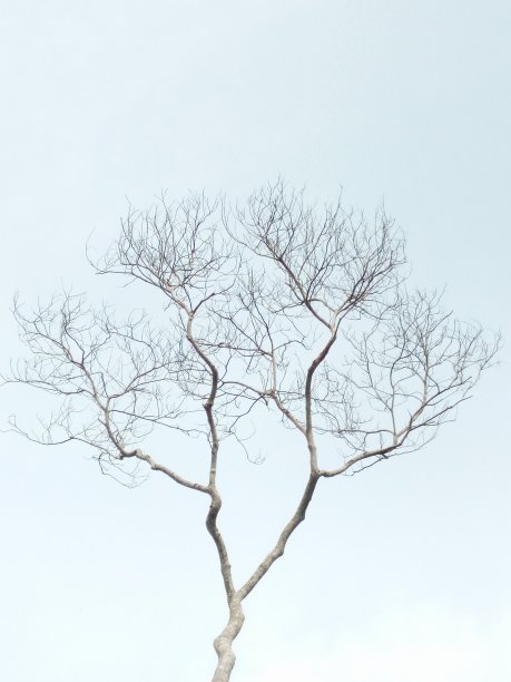 美丽的景色图片下载