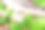 片段的静物生活与新鲜的鲈鱼和蔬菜。图片下载