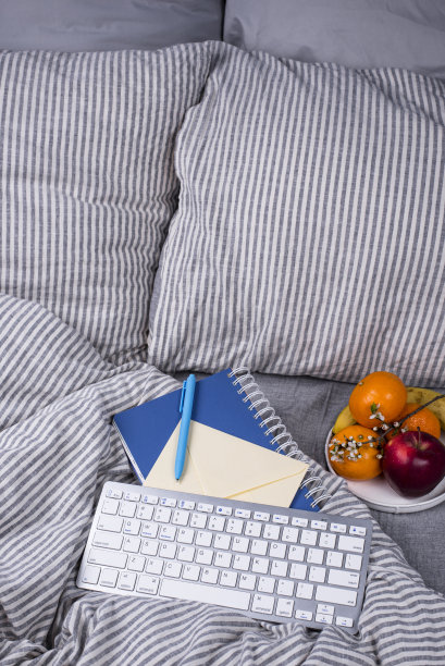 自由职业者在床上工作图片下载