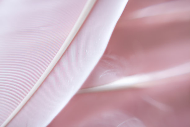 粉色羽毛背景纹理。图片下载