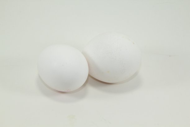 白色背景上的两个蛋图片下载