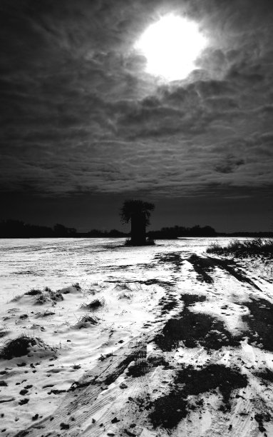 自然克服三世图片下载