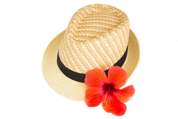 白色背景上剪出红色芙蓉花的帽子。热带系列对象。图片下载