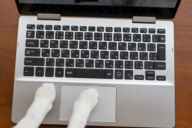 猫用的笔记本电脑图片下载