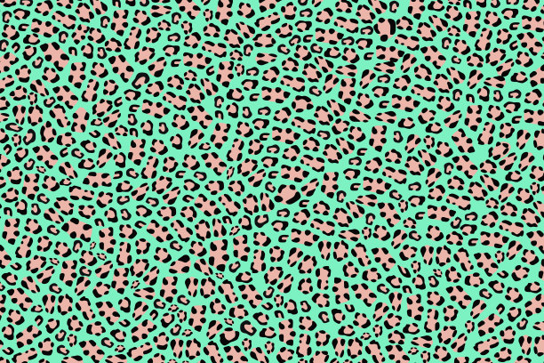豹皮的背景。图片下载