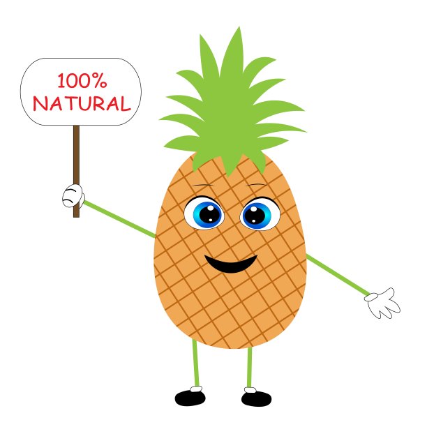 天然菠萝插图。有机水果图片下载