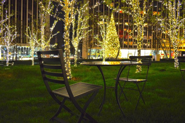 庭院-安纳伯格摄影空间-节日-圣诞节图片下载