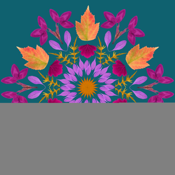 曼陀罗来自干压花，花瓣。曼荼罗是佛教、印度教、瑜伽的象征。用东方风格的花卉元素装饰曼陀罗，放松和冥想图片下载