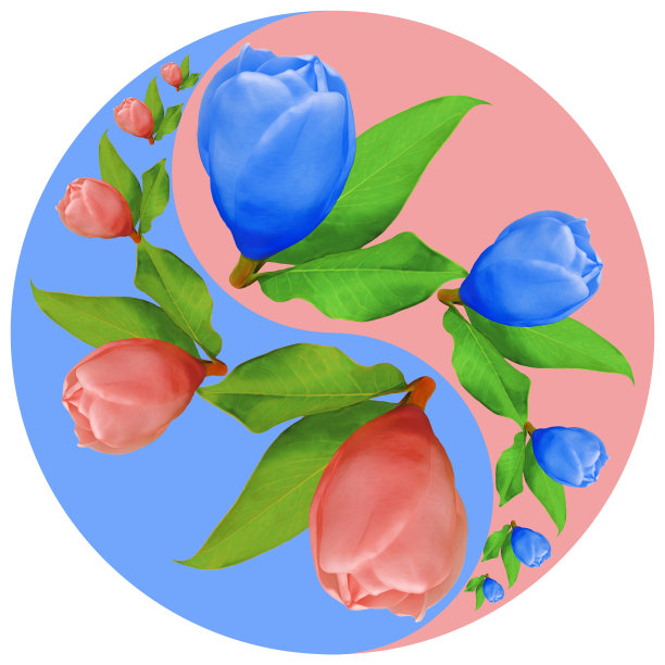 花象征阴阳。兰花,蝴蝶兰属。几何图案的阴阳符号，从植物的彩色背景在东方风格。阴阳符号取自花、花瓣。曼荼罗的花卉插图图片下载