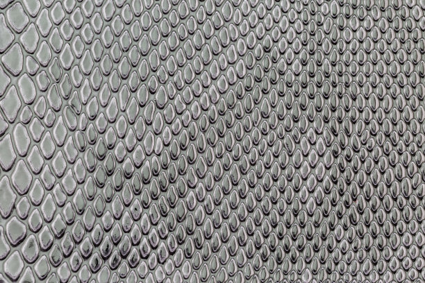 特写的异国情调蛇皮图案图片下载