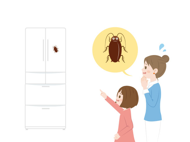 蟑螂发现图片下载