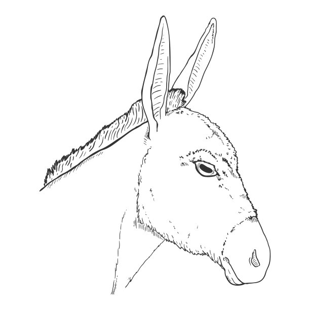 矢量草图驴头。图片下载