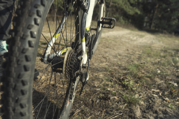 在森林里骑自行车，特写图片下载