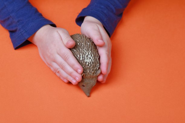 拿着玩具的孩子的手图片下载