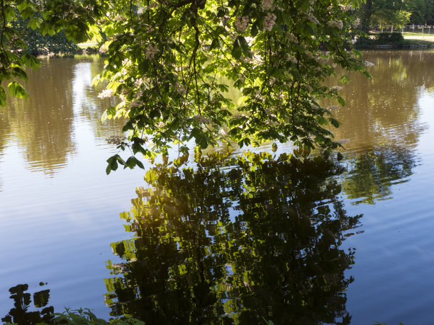 春天在大学城Tübingen在内卡图片下载