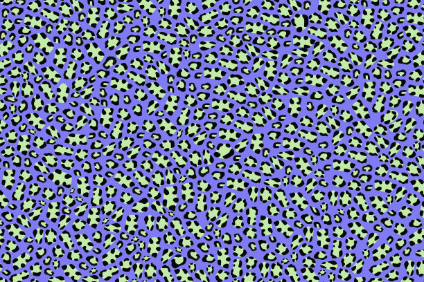 彩色豹皮肤背景。图片下载