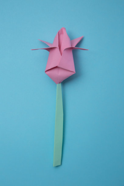 美丽的纸花折纸手工股票照片图片下载