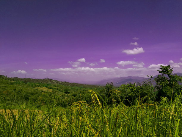 紫色的天空图片下载