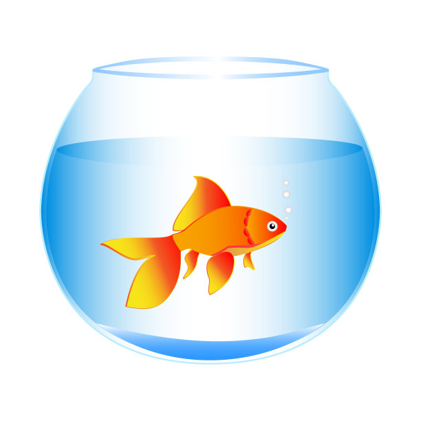 空鱼缸里的金鱼图片下载