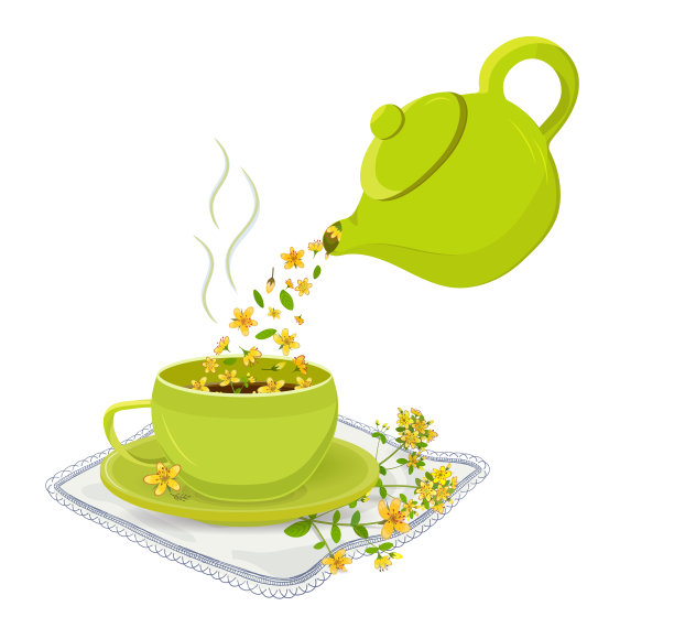 茶与草和金丝桃花。矢量插图与绿色茶壶和一杯草药茶。图片下载