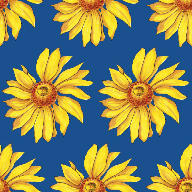 无缝水彩模式的向日葵在蓝色的背景。图片下载