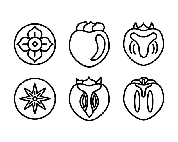 一套柿子，卡其或沙龙水果黑色线图标孤立在白色背景。简单的线性元素。矢量插图。图片下载