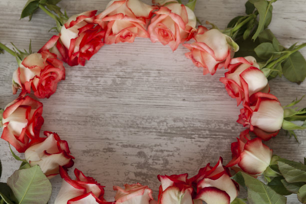 一束粉红色的玫瑰图片下载