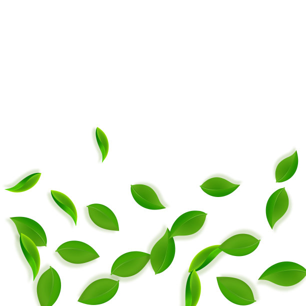 下降的绿叶。新鲜的茶叶整齐的叶子飞图片下载