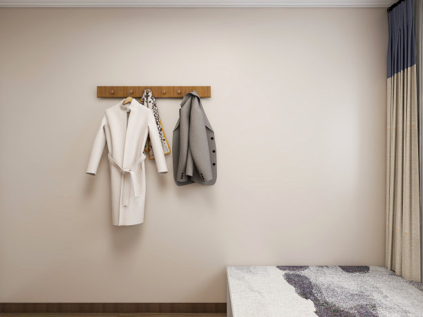 3D效果图，优雅宽敞的现代公寓卧室设计，大床旁的大衣柜，图片下载