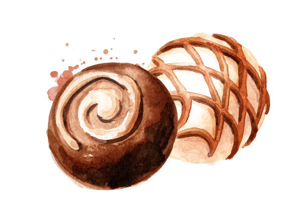 松露巧克力糖果。手绘水彩插图孤立的白色背景图片下载