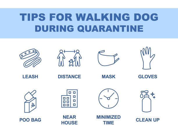 2019-covid - 19隔离期间遛狗小贴士。对于走出线性图标集的建议。细线等高线符号。孤立矢量大纲插图。可编辑的中风图片下载