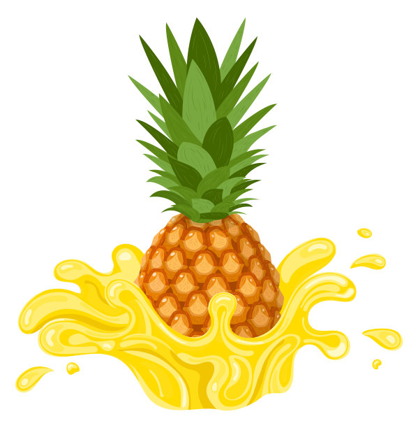 鲜嫩的菠萝黄汁在白色背景上迸出。夏天果汁。矢量插图为任何设计。图片下载