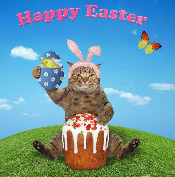 在草地上吃复活节蛋糕的猫图片下载