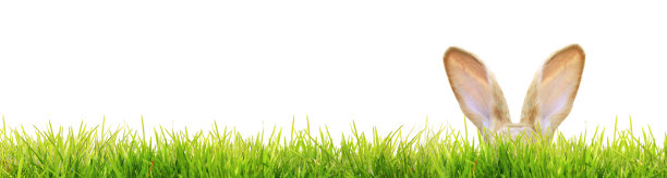 有趣的复活节兔子。复活节节日快乐概念。图片下载