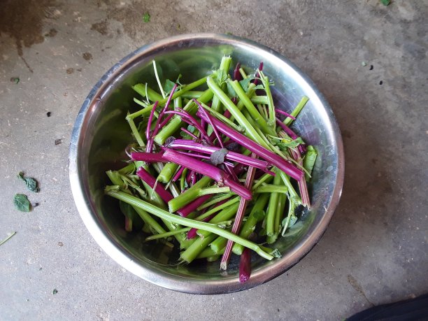 美丽的颜色，饱满下垂的牙齿食物图片下载