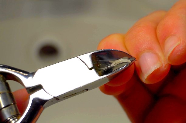 一个指甲钳的特写图片下载