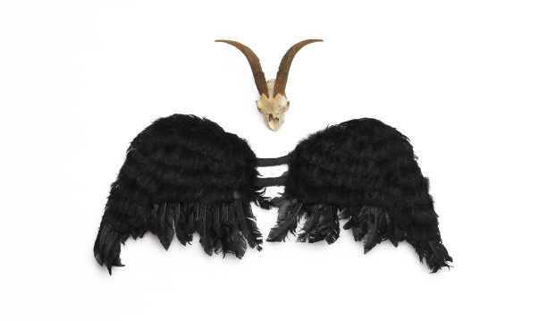 黑魔鬼的翅膀孤立在白色的背景上图片下载