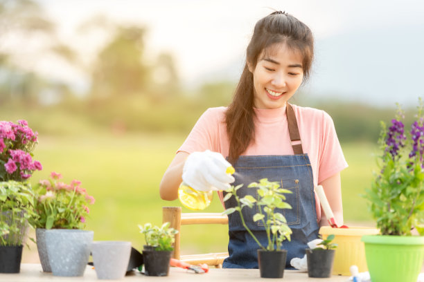 年轻女子在花园里养花。亚洲人的爱好图片下载
