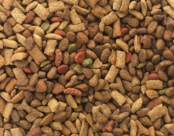 干燥的宠物食品图片下载