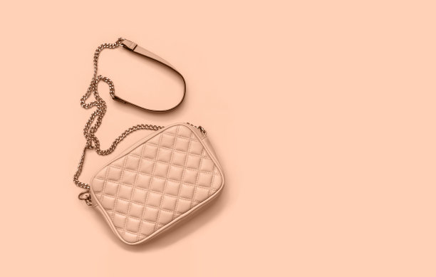 有金链子的女士皮包。桃子冰淇淋当季的流行色。平的。副本的空间。图片下载