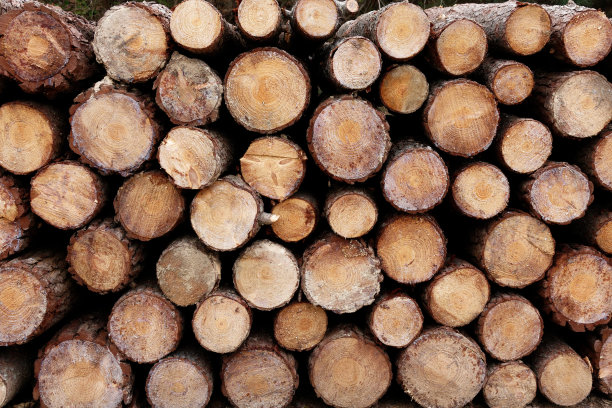 天然木材，檀木木片图片下载