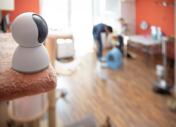 红外摄像头是一种技术家庭安防系统，通过智能手机-库存照片监控图片下载