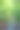 绿色的森林，树木和溪流图片下载