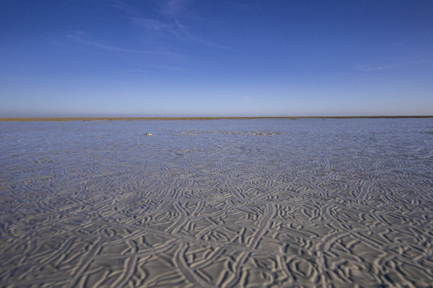 取名的图片下载