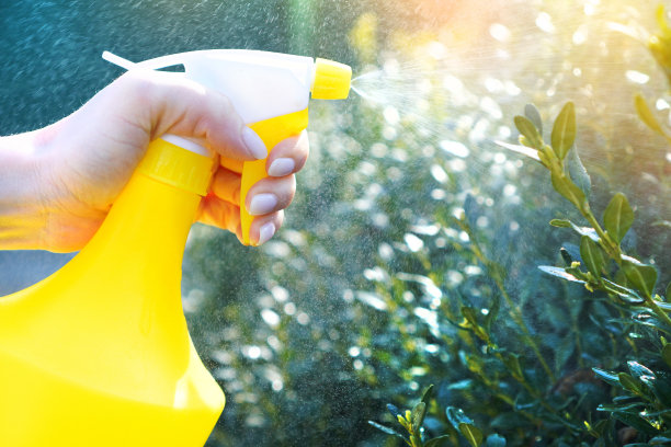 夏天的花园工作。女性手握喷雾器。绿色植物浇水。图片下载