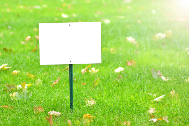 公园草地上的空白板模型图片下载