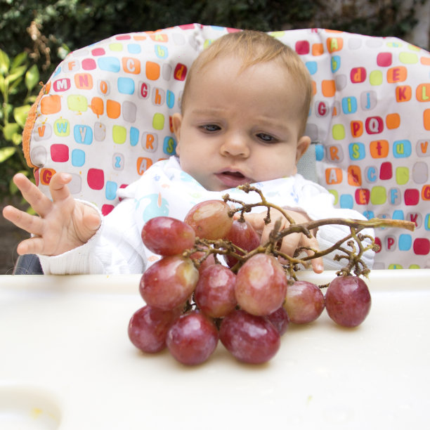 婴儿用水果图片下载