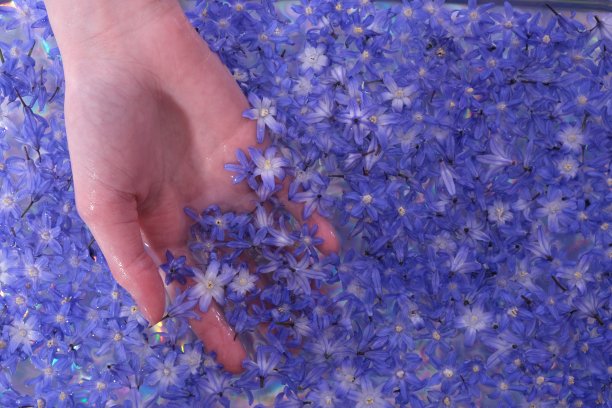 手在水中，那里有许多春花图片下载