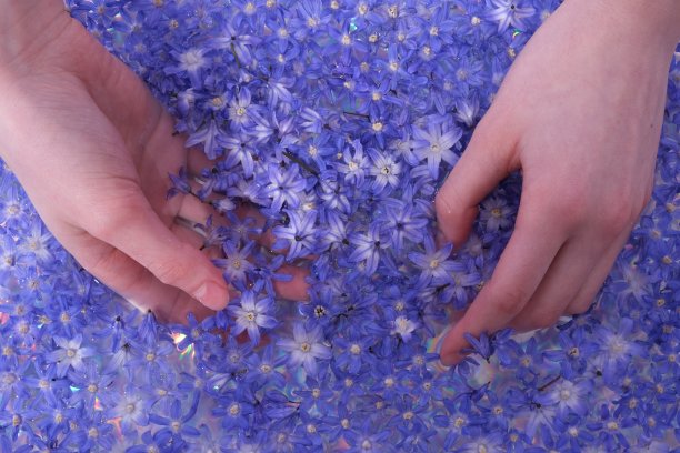 许多春天的小花在水里游动图片下载