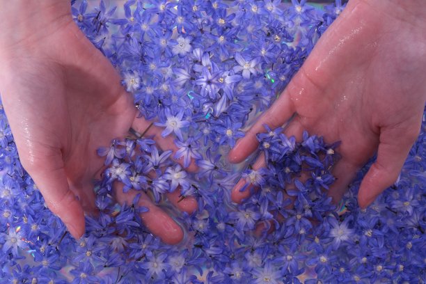 2、两只手在水里，那里有许多春天的小花图片下载